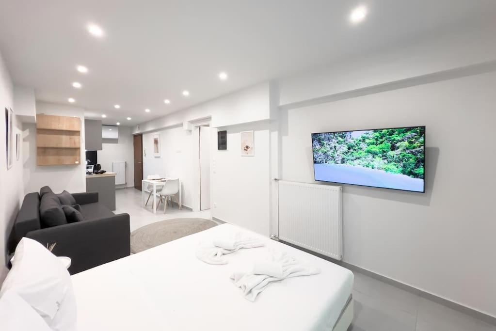 Luxury Studio With Garden Next To Acropolis Atény Exteriér fotografie