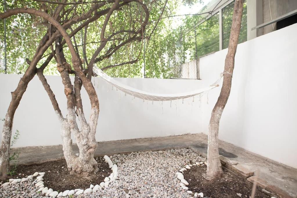 Luxury Studio With Garden Next To Acropolis Atény Exteriér fotografie